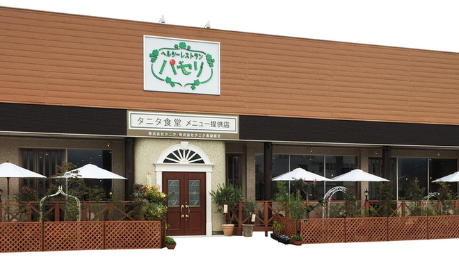 甲府市にヘルシーレストラン パセリがNEW OPEN!!(9月16日)